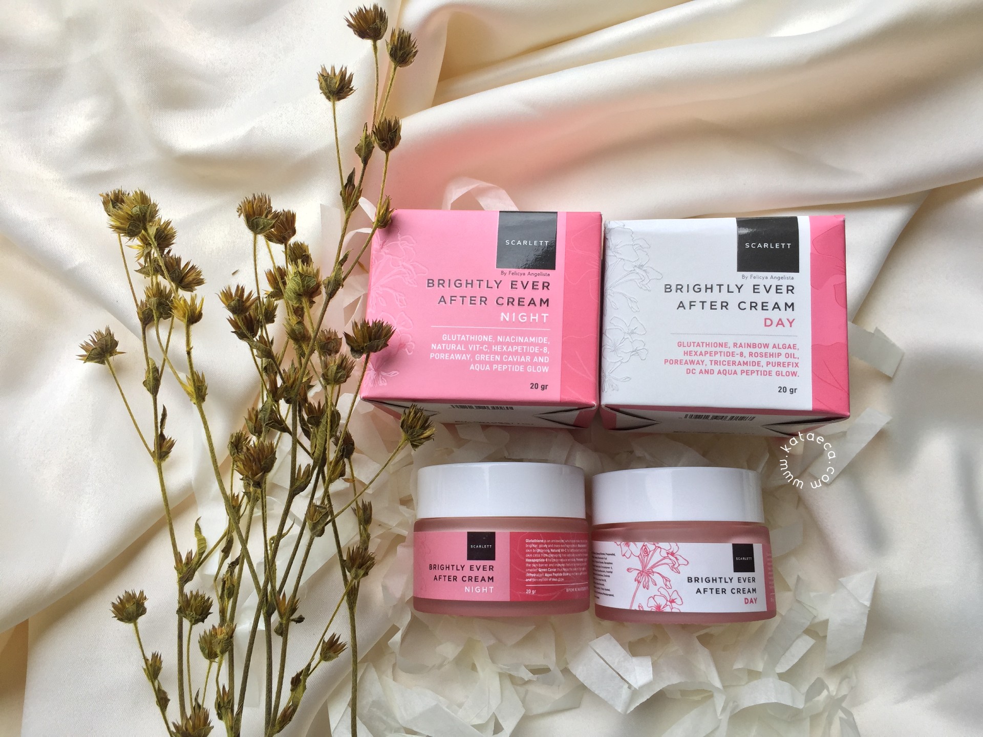 Review Scarlett Brightly Ever After Day Night Cream Kata Eca